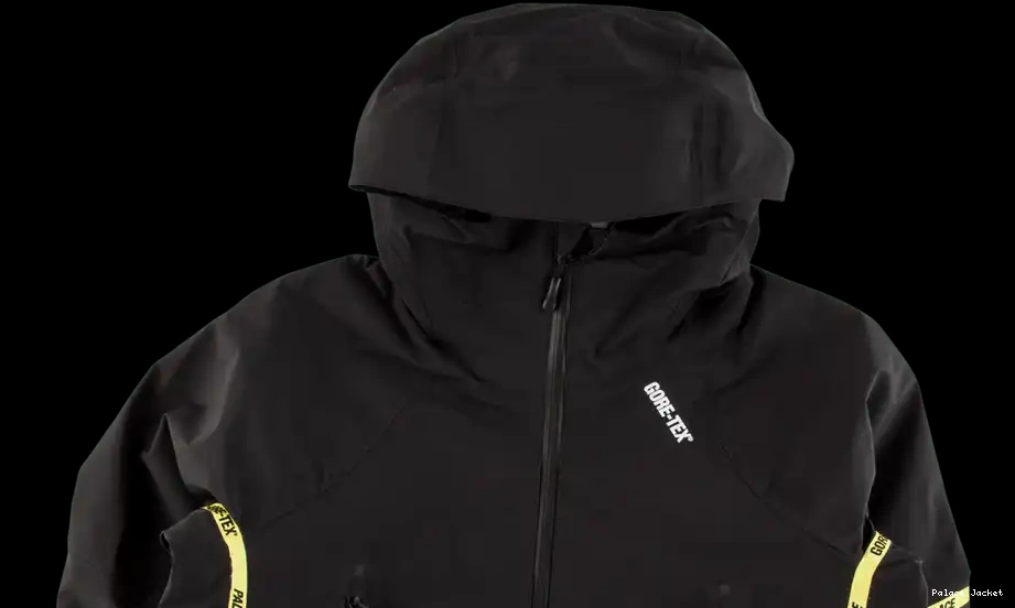 Affordable Palace Gore-Tex Jacket Palex 0616